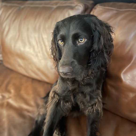 Meet your Posher, Melissa - Picture 1 of 1